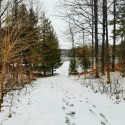 Making the Case for Winter Cottaging in Ontario