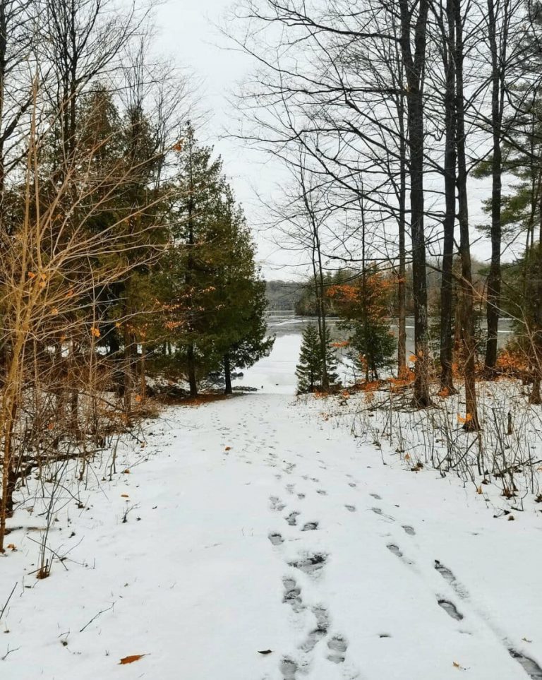 Making the Case for Winter Cottaging in Ontario