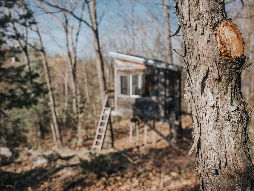 Bob S Lake Cottages Escapes A Unique Lakefront Venue For