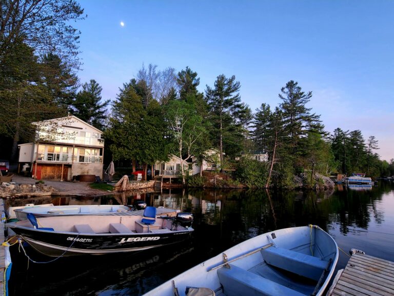 The Ultimate Guide to Planning a Memorable Family Reunion 2024